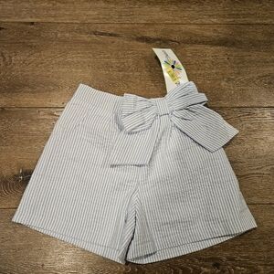 Counting Daisies Seersucker Shorts
